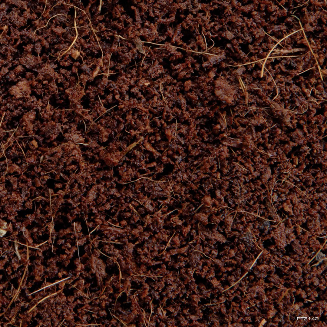 Exo Terra Equatorial Forest Floor Dual Layer Substrates