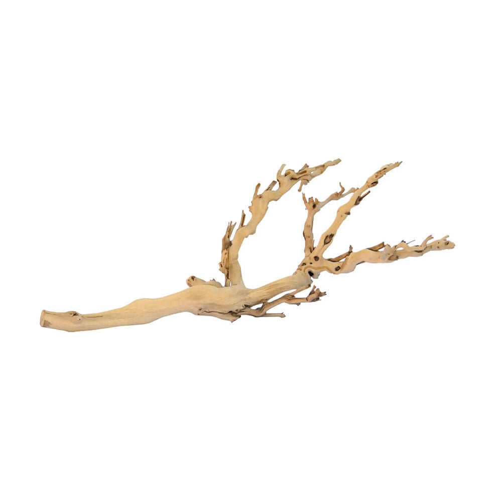Buy Exo Terra Forest Branch (DHF110) Online at £8.49 from Reptile Centre