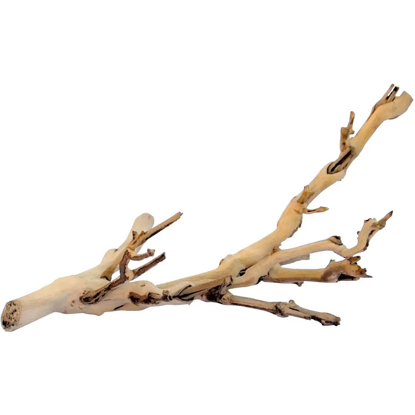 Exo Terra Forest Branch for Reptile Habitats