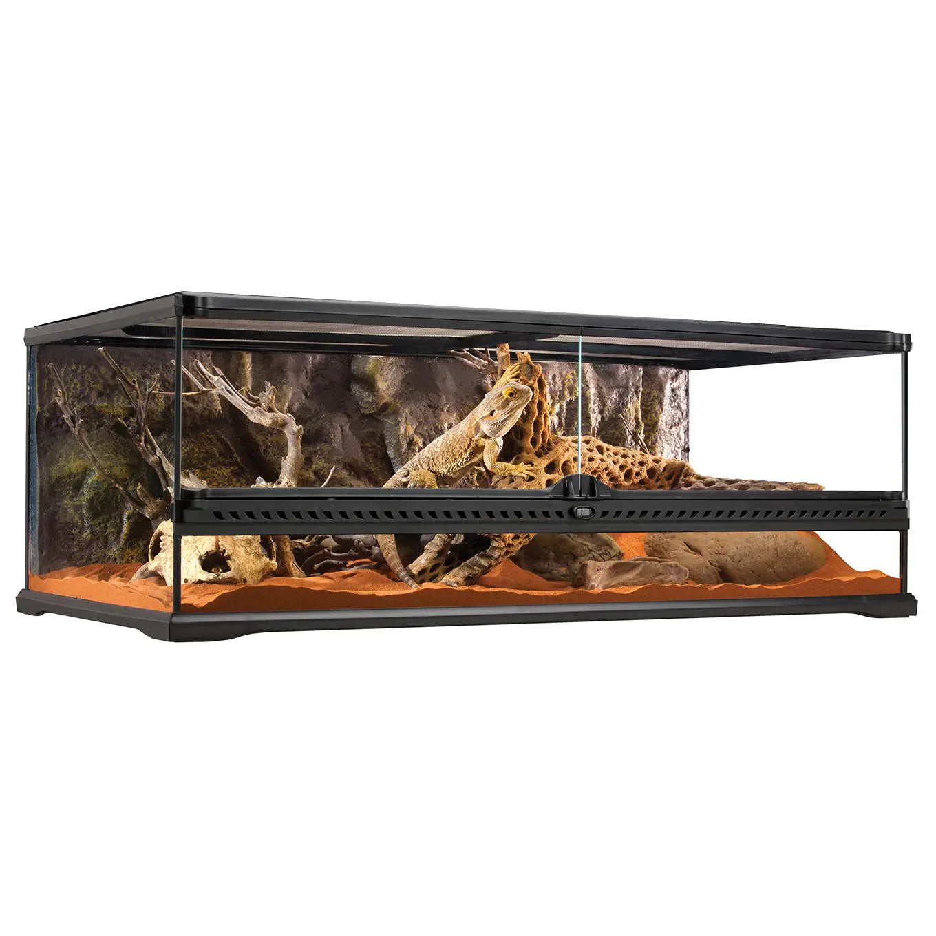 Buy Exo Terra Glass Terrarium Large Low - 90x45x30cm online