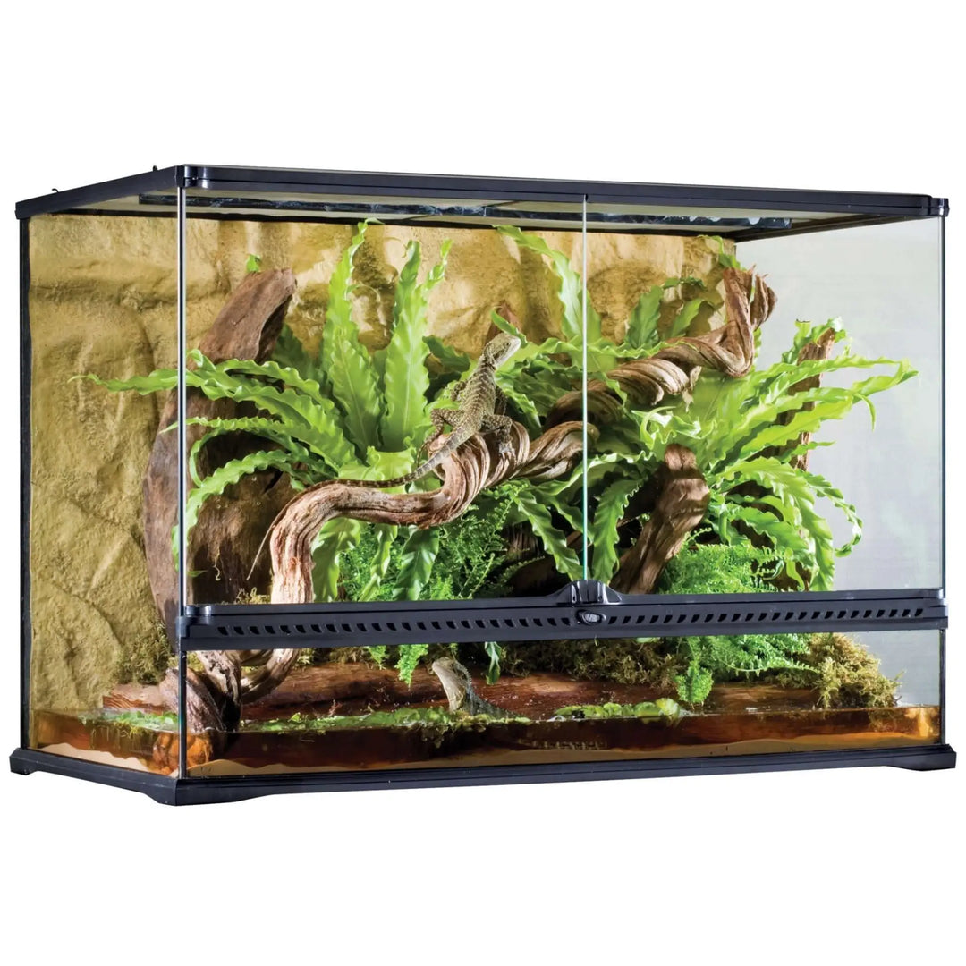 Buy Exo Terra Glass Terrarium Large Tall - 90x45x60cm (THT040) Online at £403.99 from Reptile Centre