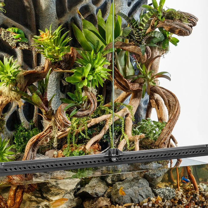 Crested Gecko Housing