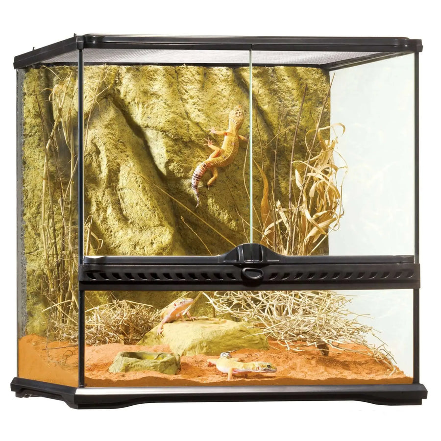 Buy Exo Terra Glass Terrarium Small Wide - 45x45x45cm (THT015) Online at £150.99 from Reptile Centre