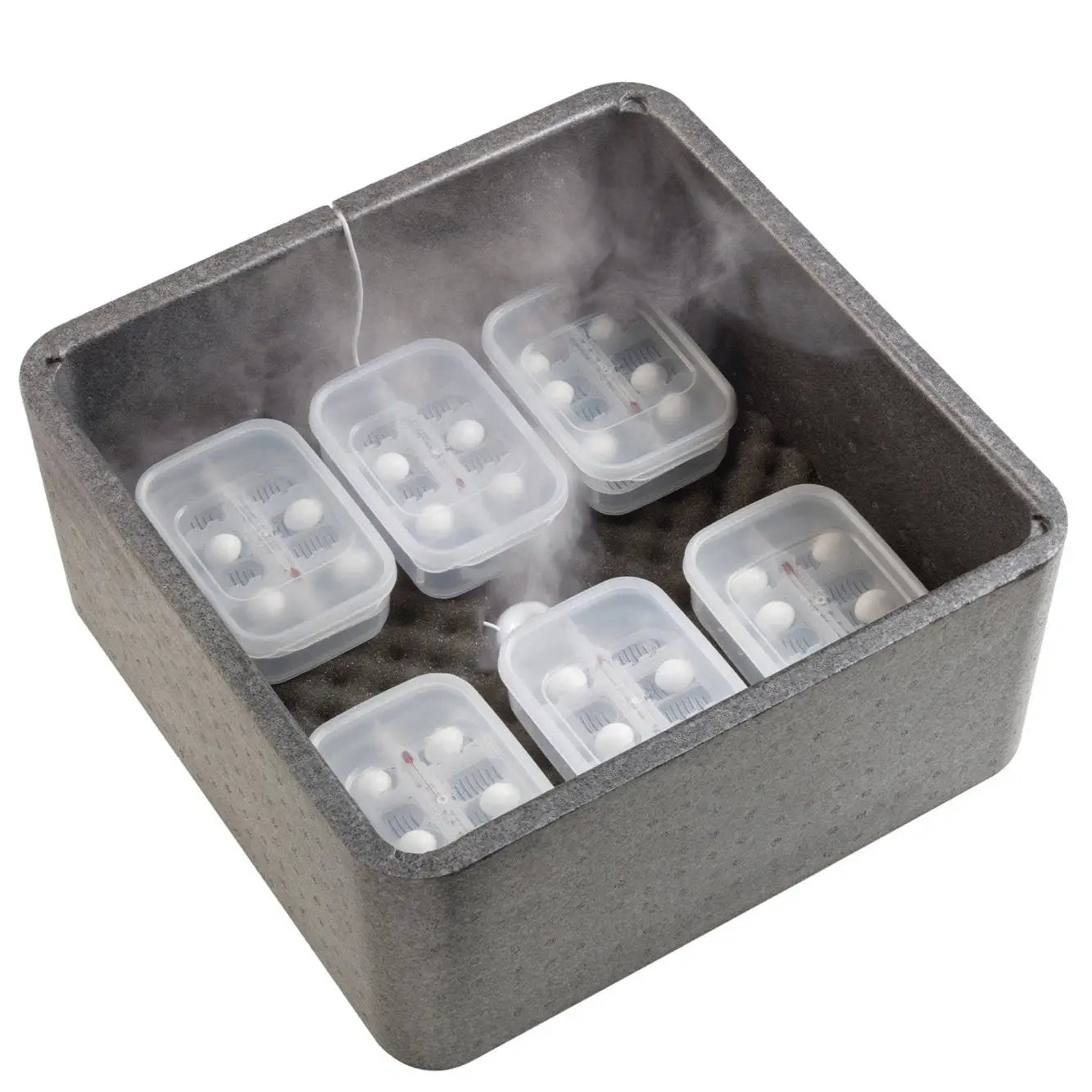 Buy Exo Terra Incubation Box online