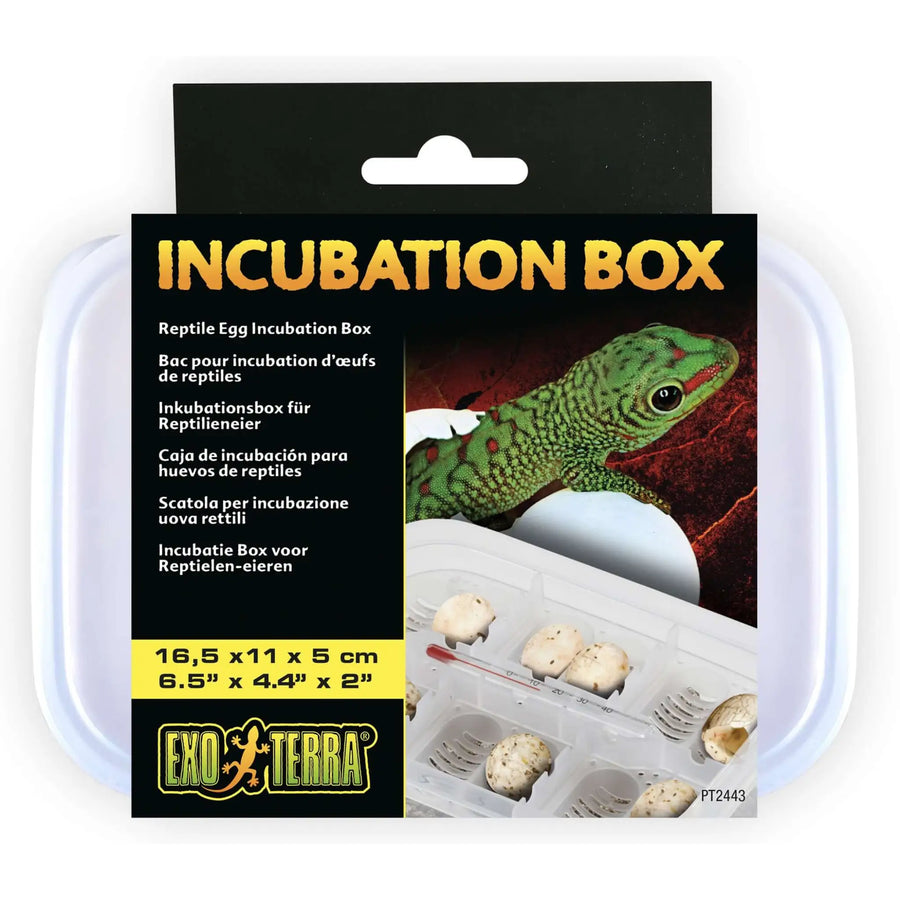 Buy Exo Terra Incubation Box (CHI006) Online at £6.65 from Reptile Centre