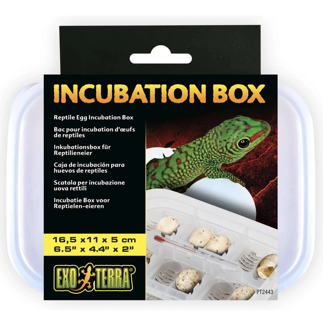 Buy Exo Terra Incubation Box (CHI006) Online at £6.65 from Reptile Centre