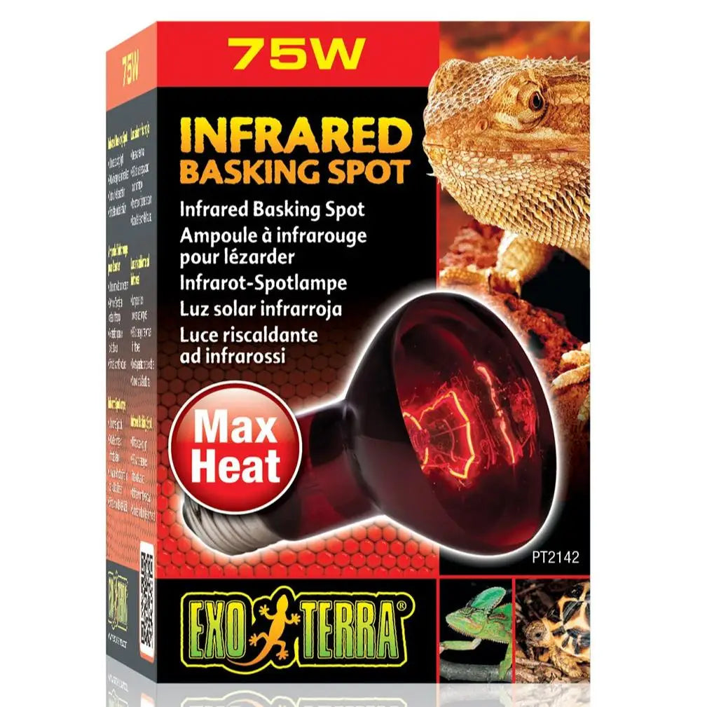 Buy Exo Terra Infrared Basking Spot Lamp online