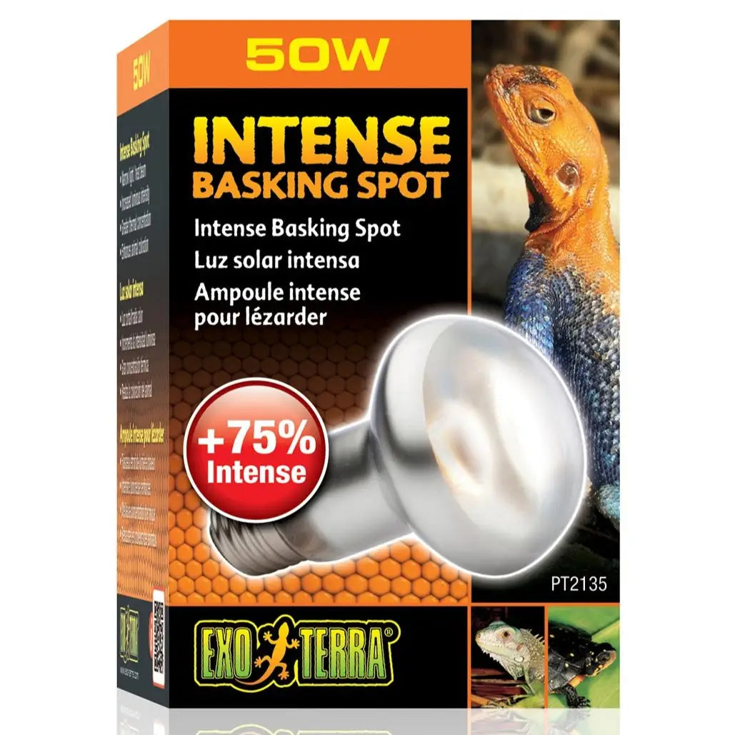 Buy Exo Terra Intense Basking Spot online