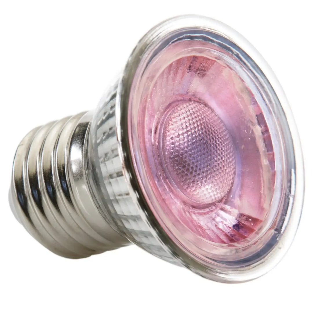 Exo Terra Nano Daylight Led Spot 5W Lighting