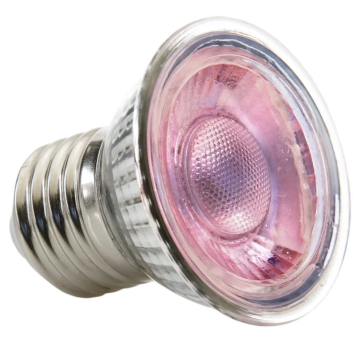 Exo Terra Nano Daylight Led Spot 5W Lighting