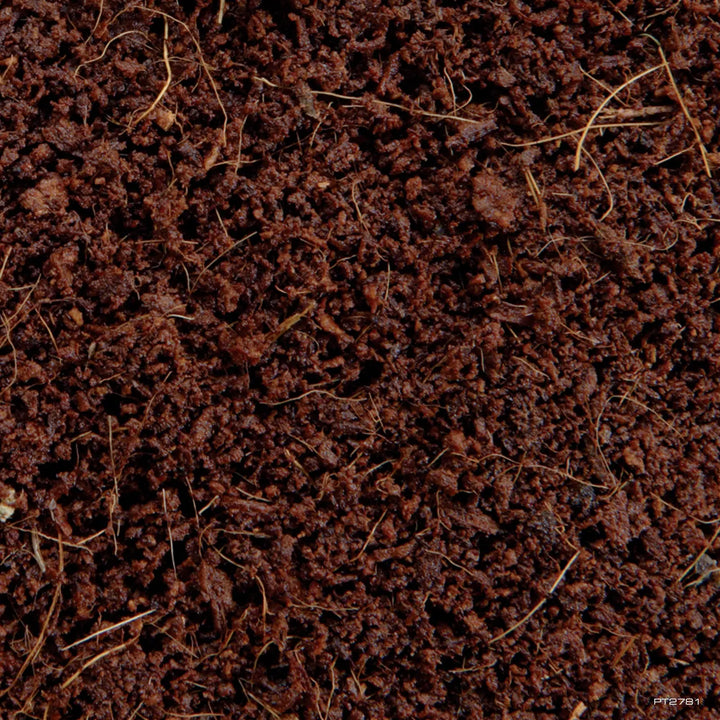 Exo Terra Plantation Soil Substrate 8.8L Substrates
