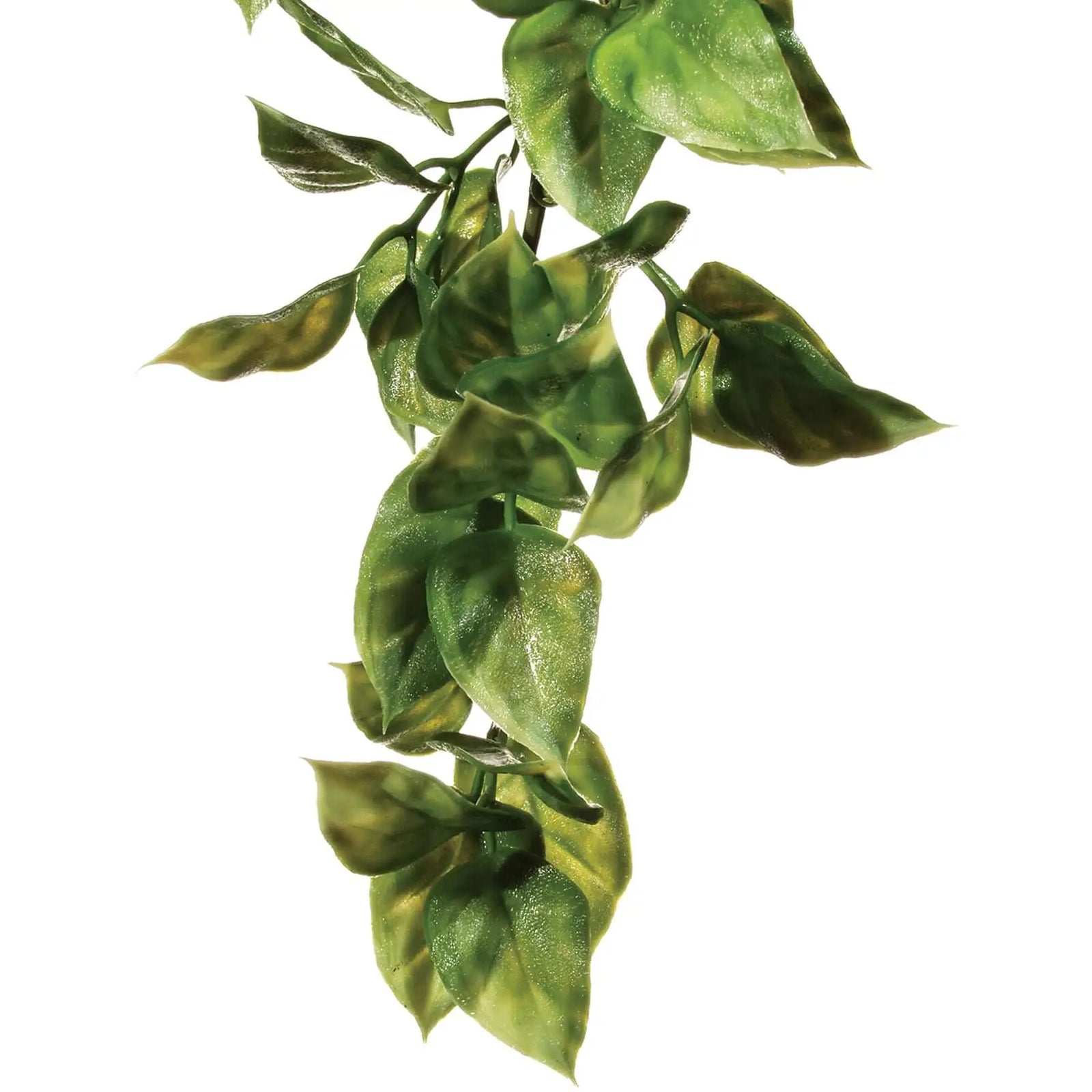 Buy Exo Terra Plastic Plant Amapallo online