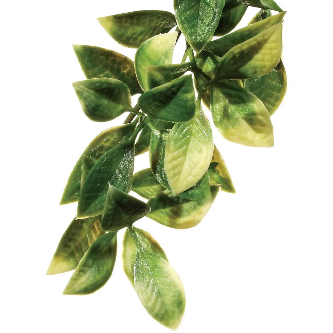 Buy Exo Terra Plastic Plant Mandarin (PHJ202) Online at £4.69 from Reptile Centre