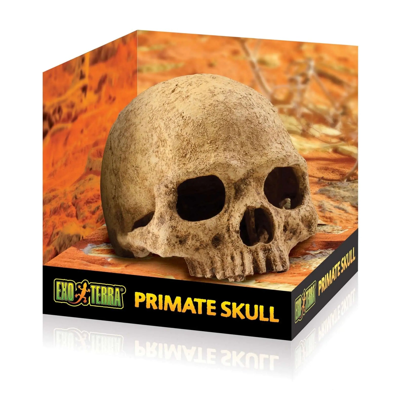 Buy Exo Terra Primate Skull online