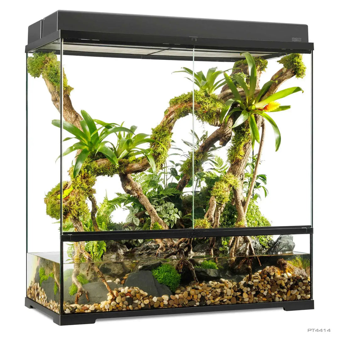 Pro Paludarium Large X-Tall with double canopy 