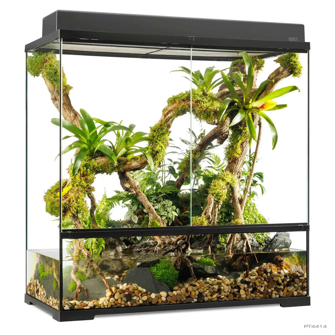 Pro Paludarium Large X-Tall with single canopy 