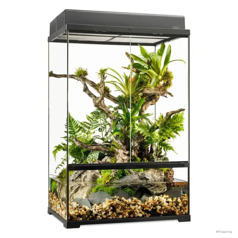 Pro Paludarium Medium X-Tall - with double canopy 