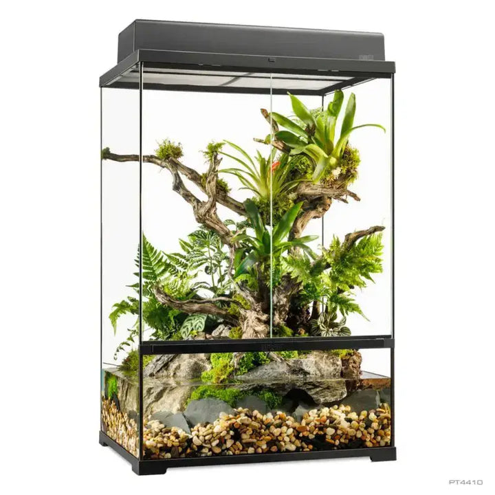 Pro Paludarium Medium X-Tall - with single canopy 