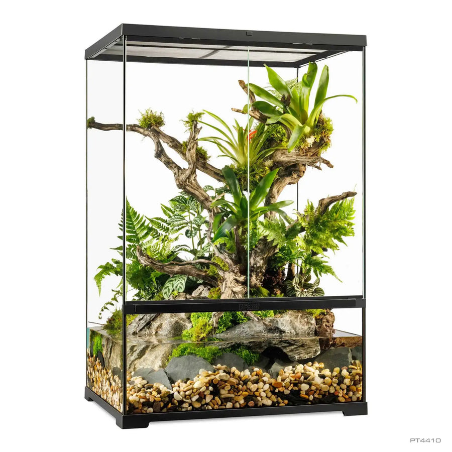 Pro Paludarium Medium X-Tall with no canopy 