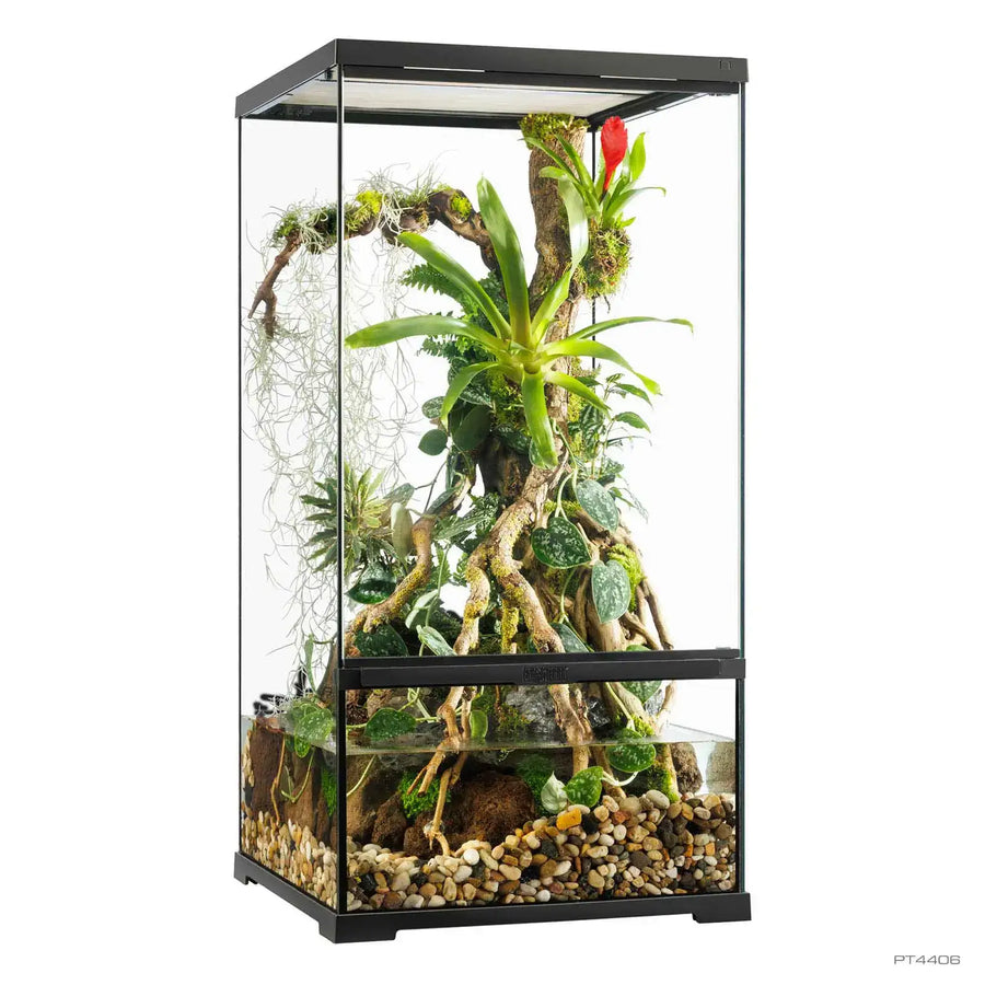 Pro Paludarium X-Small X-Tall - with no canopy 