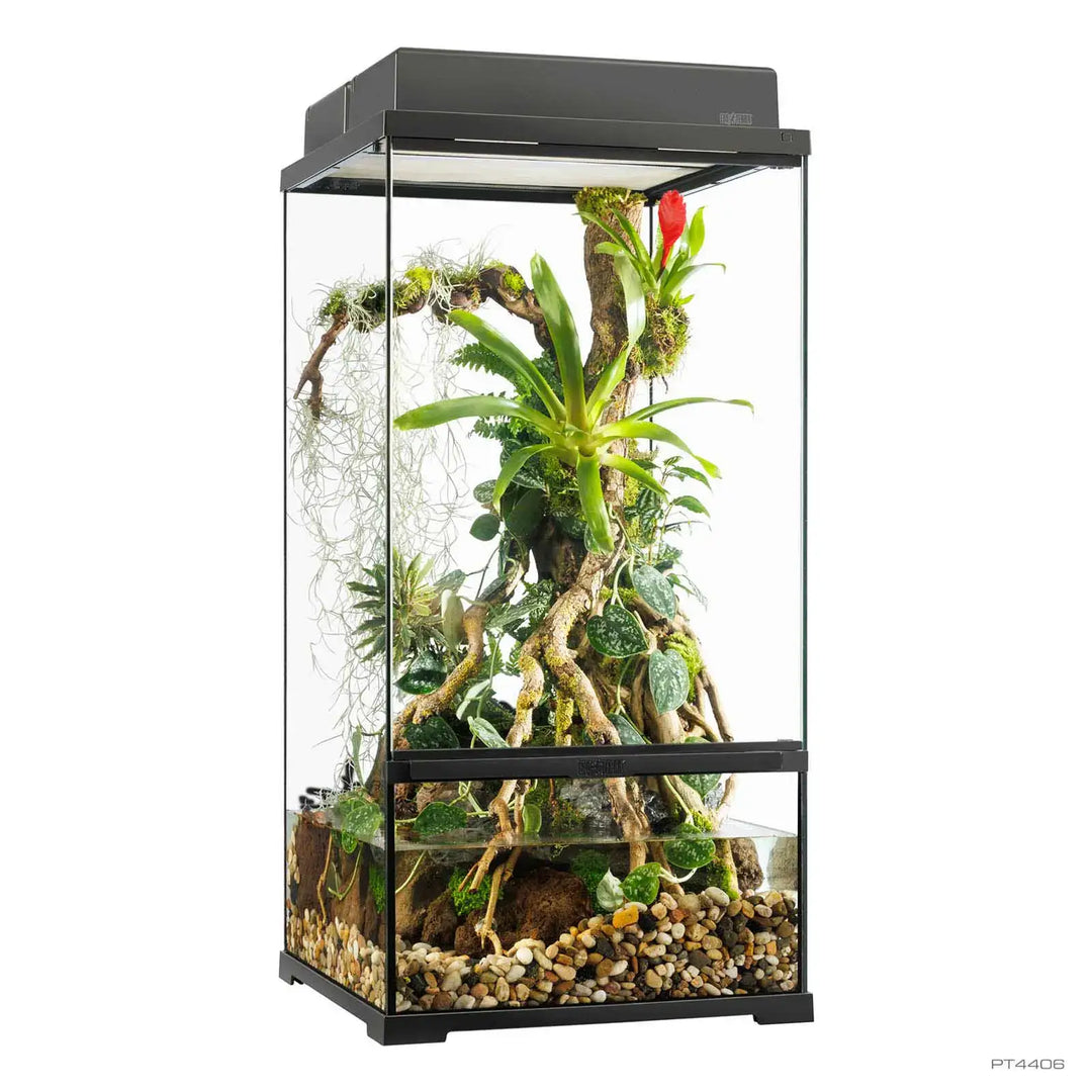 Pro Paludarium X-Small X-Tall - with double canopy 