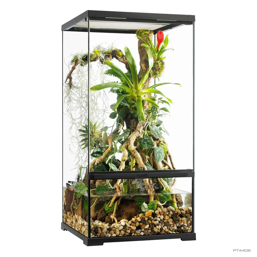 Pro Paludarium X-Small X-Tall - with no canopy 