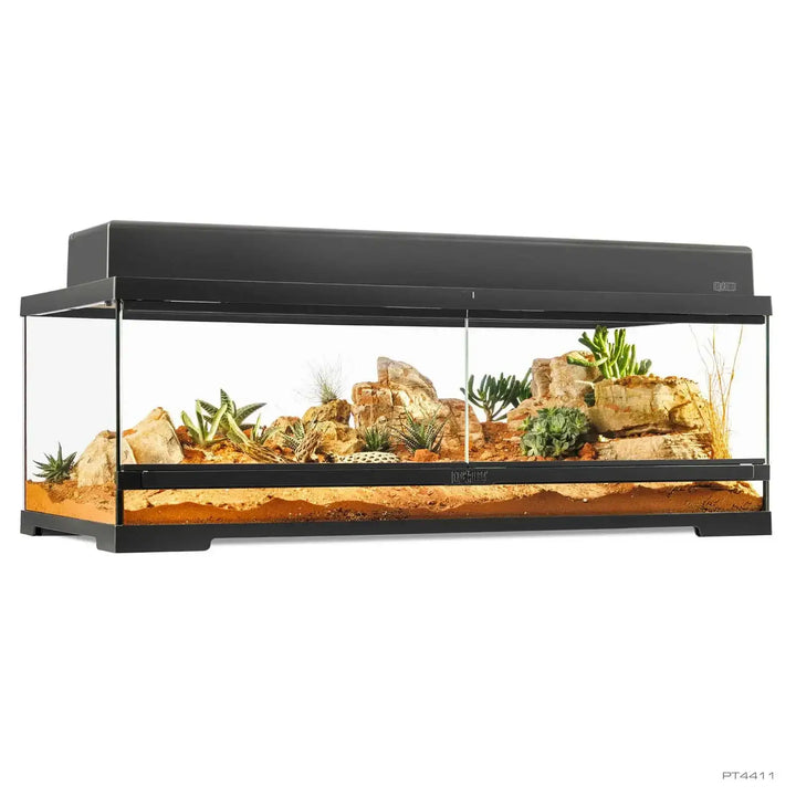 Pro Terrarium Large Low with one canopy 