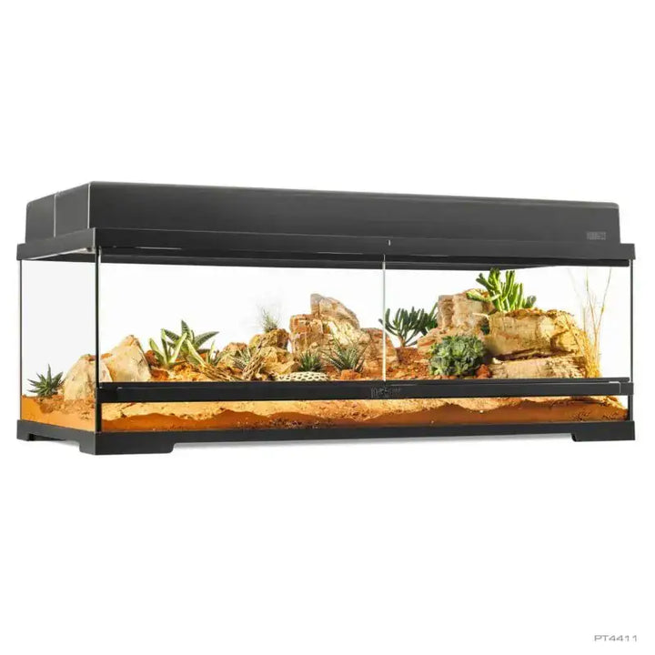 Pro Terrarium Large Low with double canopy