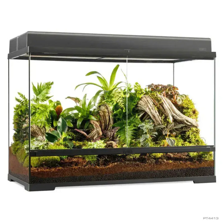 Pro Terrarium Large Tall
 with two canopys 
