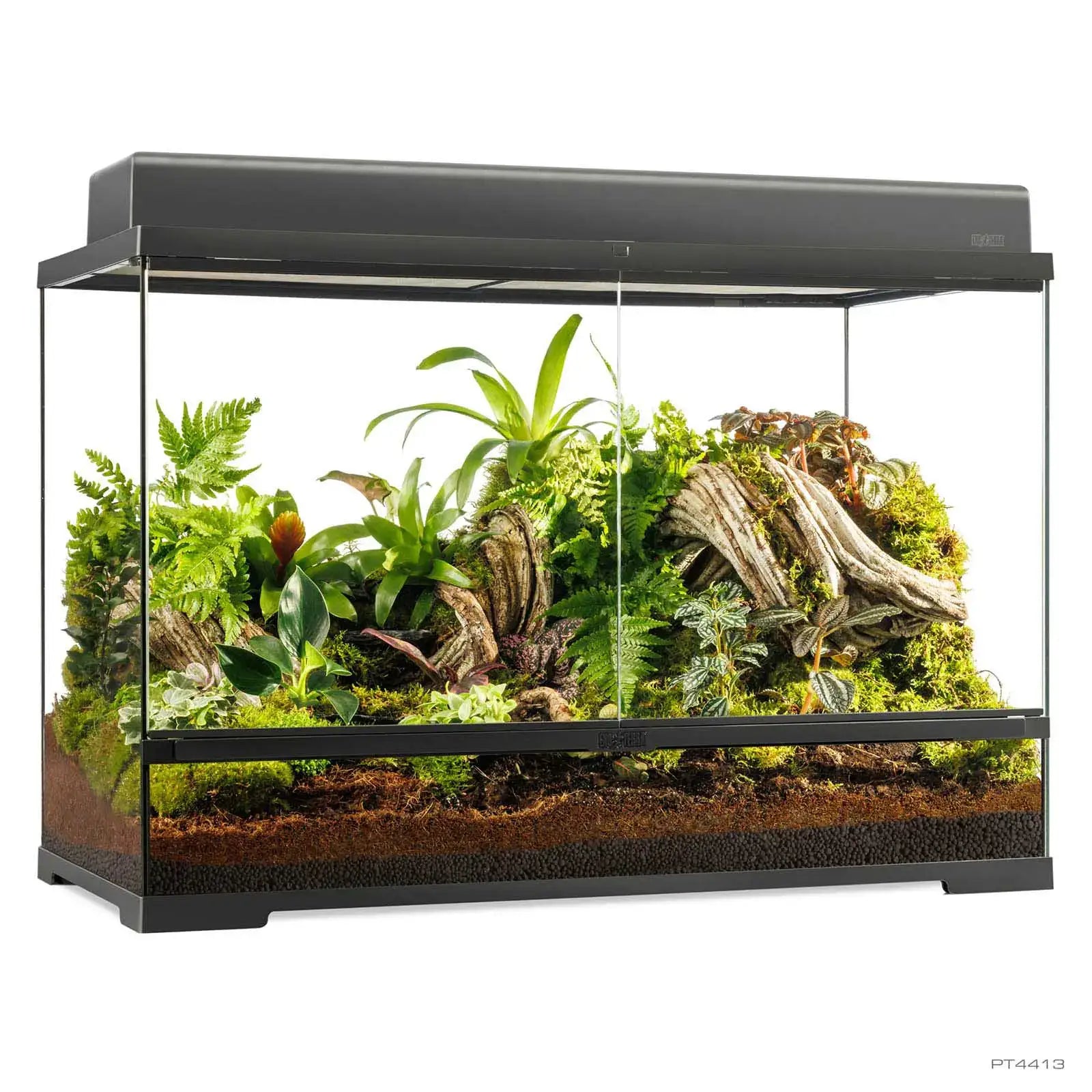 extra large plant terrarium uk Exo Terra Pro Terrarium Large Tall 90x45x60cm – Northampton Reptile Centre