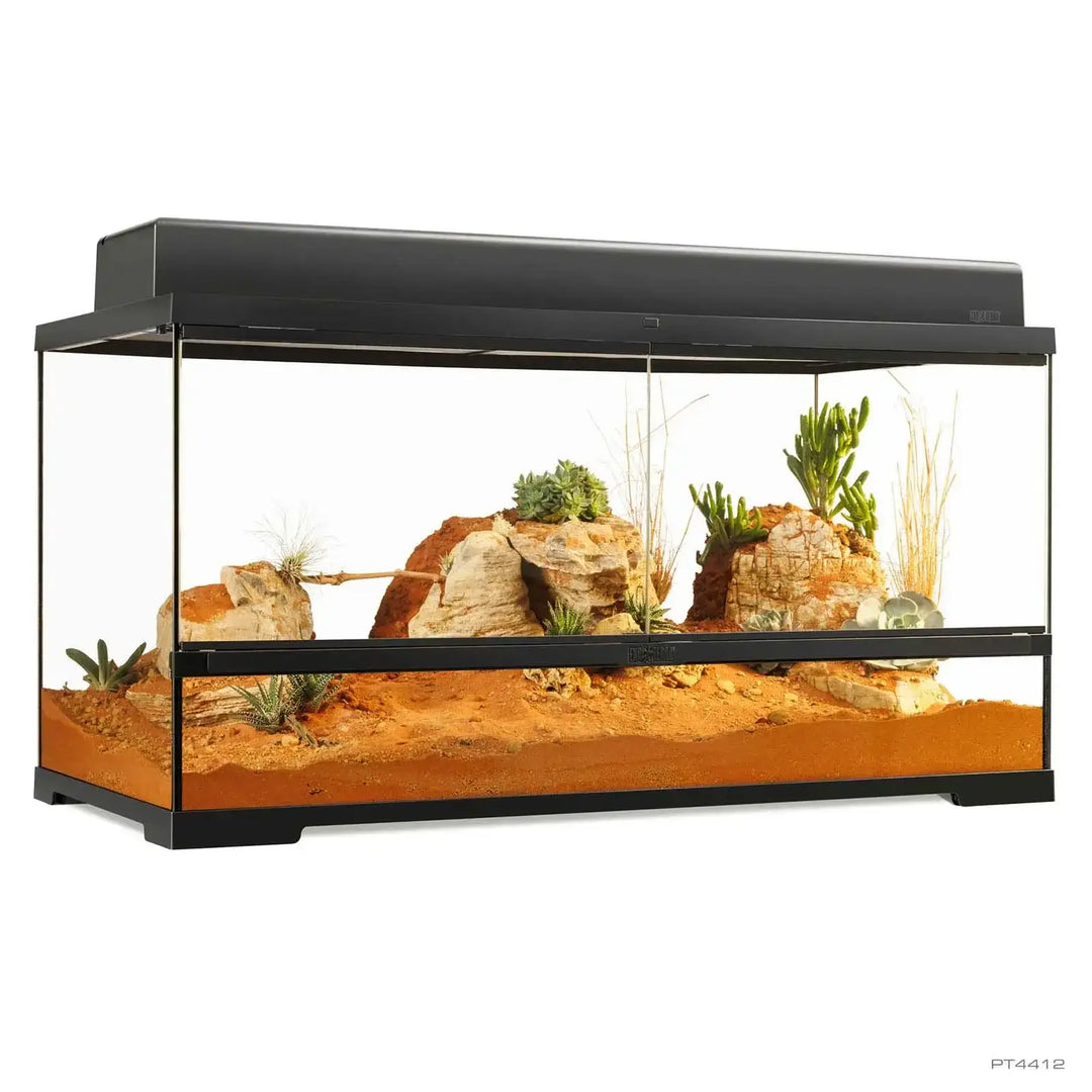 Pro Terrarium Large Wide with single canopy 