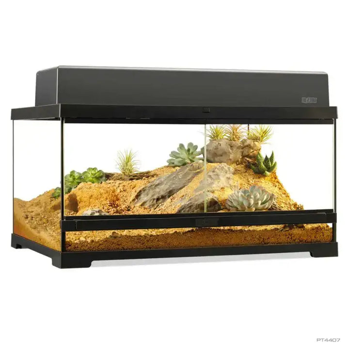 single canopy Pro Terrarium Medium Low