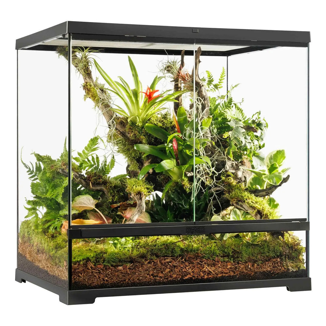 Buy Exo Terra Pro Terrarium Medium Tall - 60x45x60cm Online at £270.99 Buy Exo Terra Pro Terrarium Medium Tall - 60x45x60cm Online at £270.99