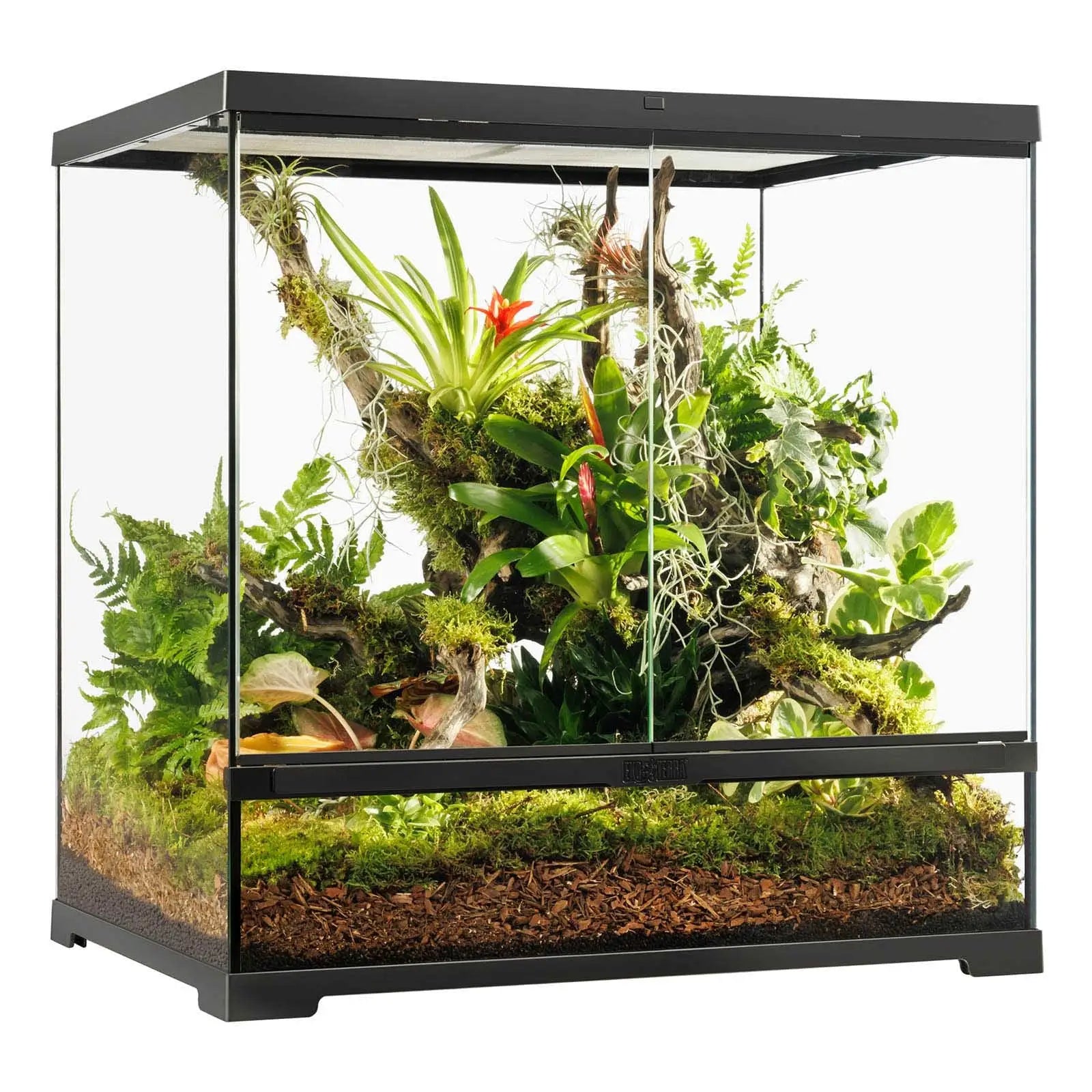 Buy Exo Terra Pro Terrarium Medium Tall - 60x45x60cm online