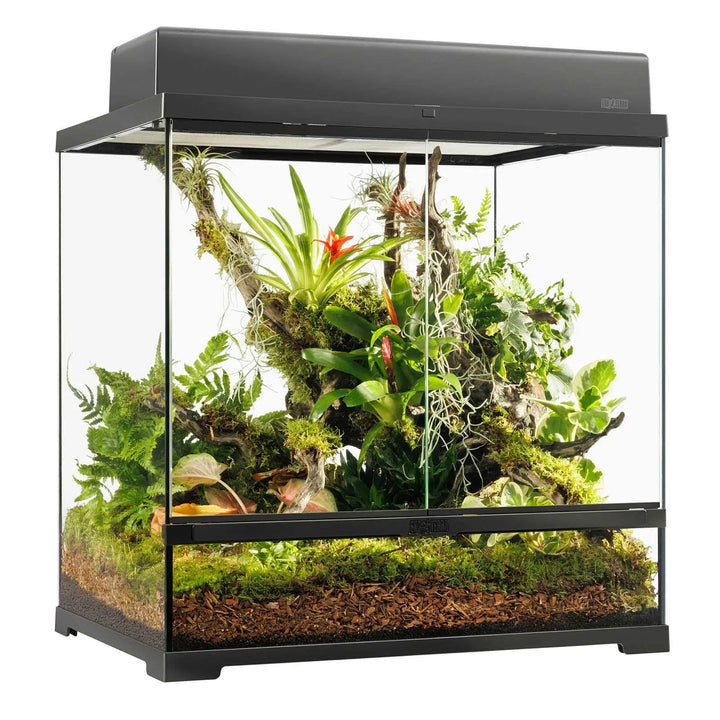 Exo Terra Pro Terrarium 60x45x60cm