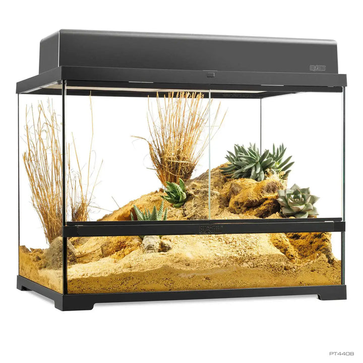 Pro Terrarium Medium Wide with one canopy