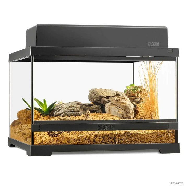 Pro Terrarium Small Low with one canopy