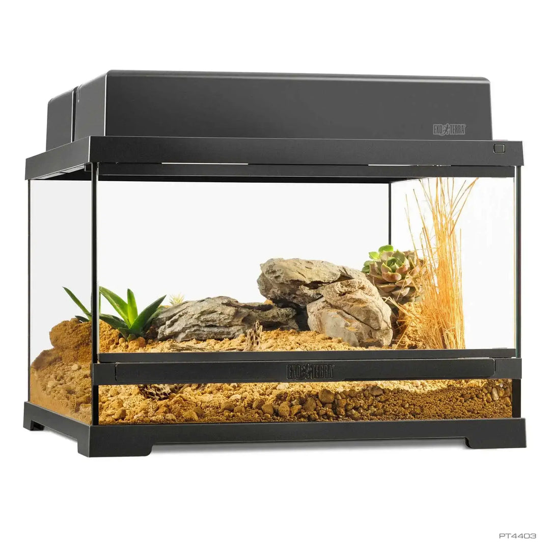 Pro Terrarium Small Low full with two