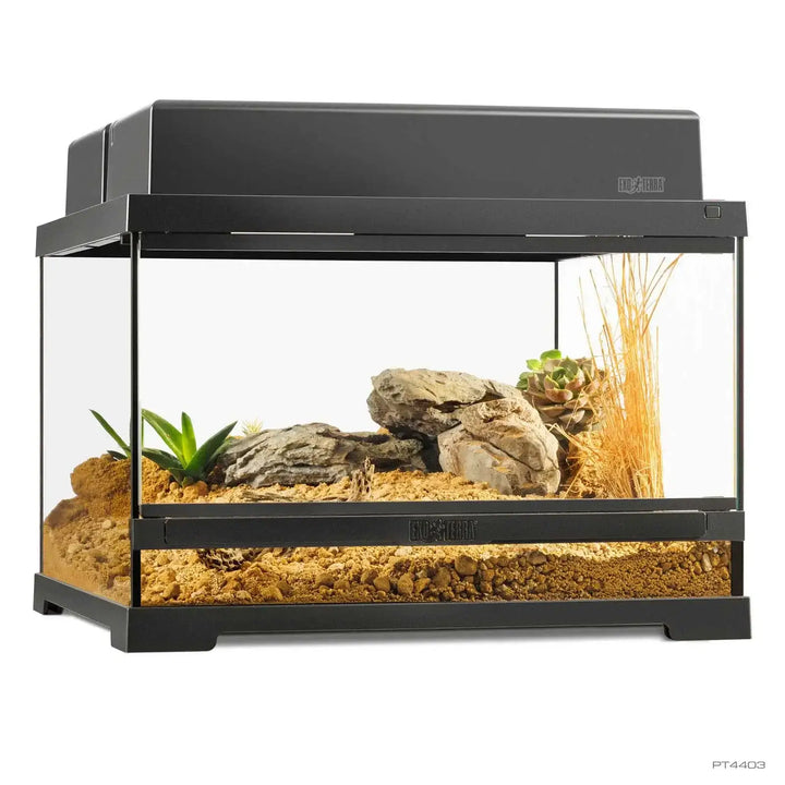 Pro Terrarium Small Low full with two