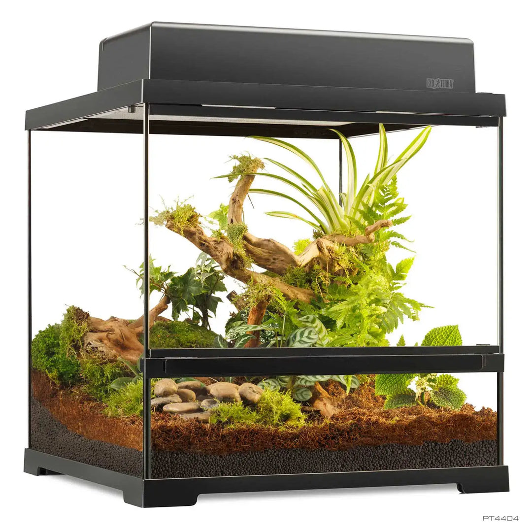 Pro Terrarium Small Wide with one canopy
