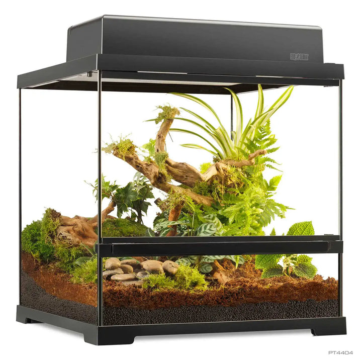 Pro Terrarium Small Wide with one canopy
