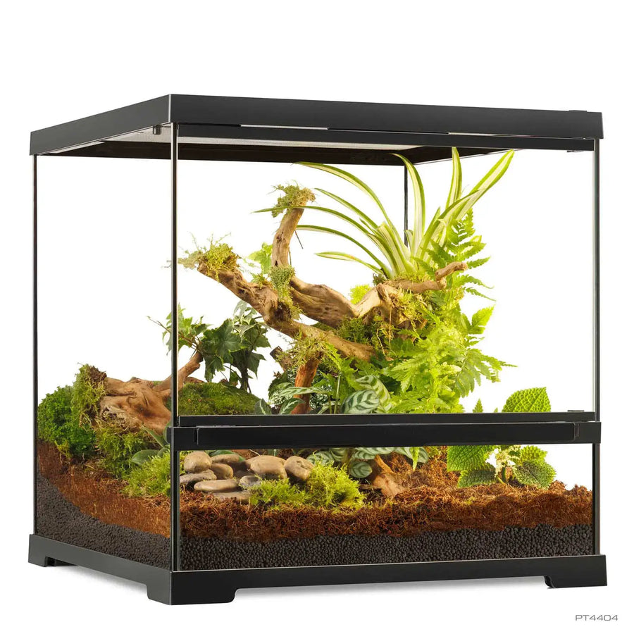 Pro Terrarium Small Wide
 with no canopy