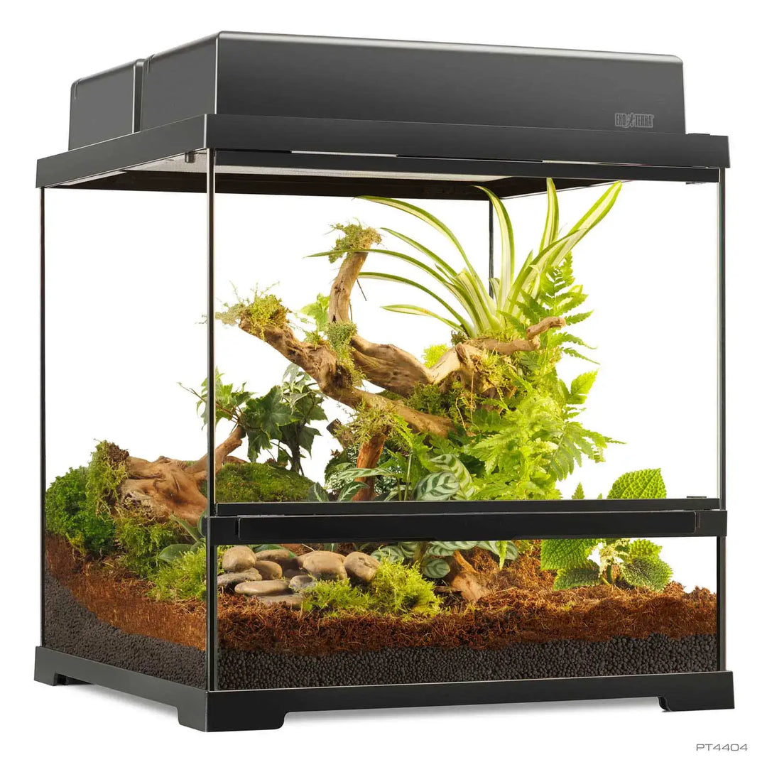 Pro Terrarium Small Wide with double canopy 