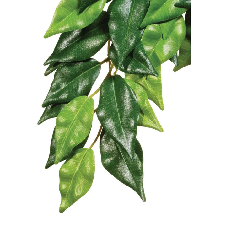 Buy Exo Terra Silk Plant Ficus (PHJ430) Online at £11.39 from Reptile Centre