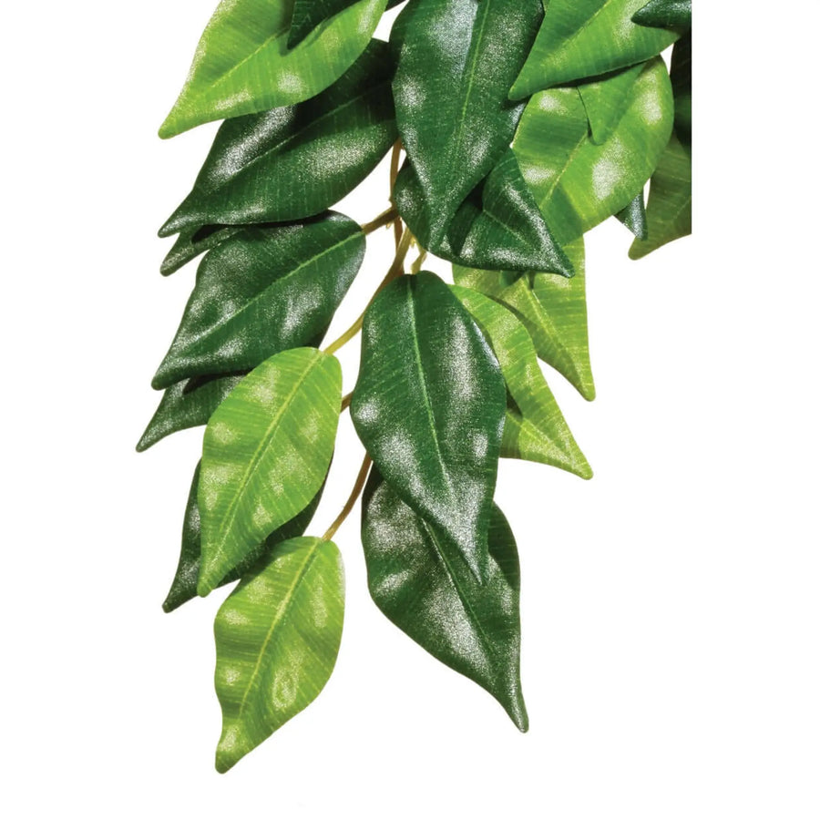 Buy Exo Terra Silk Plant Ficus (PHJ400) Online at £4.89 from Reptile Centre