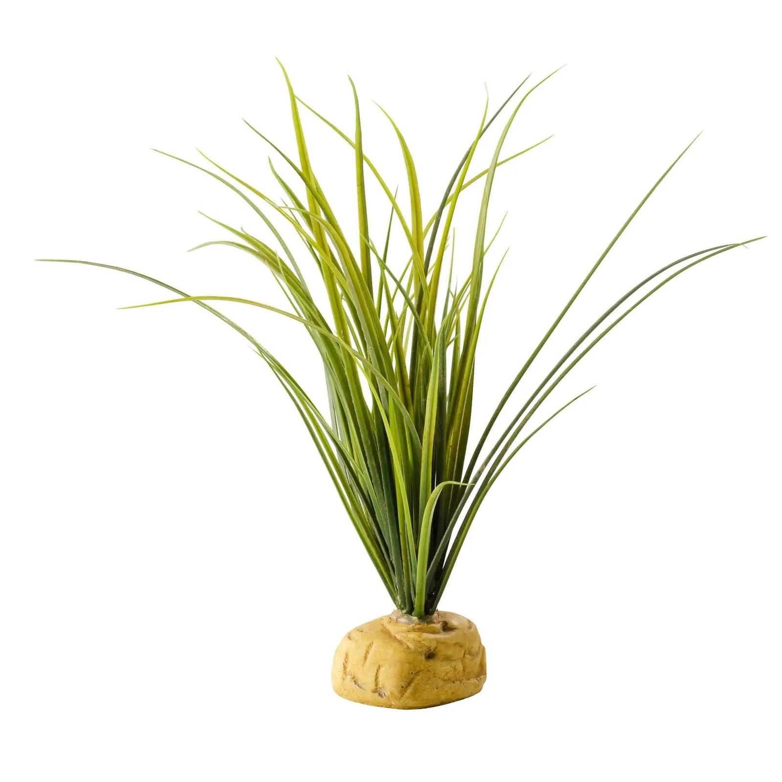 Buy Exo Terra Turtle Grass online