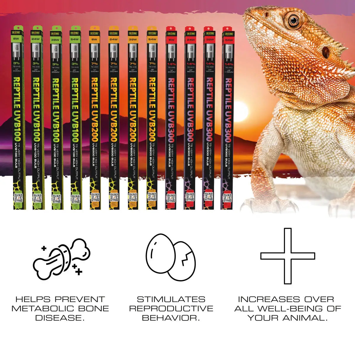 Buy ExoTerra Reptile UVB100 T5 VHO online