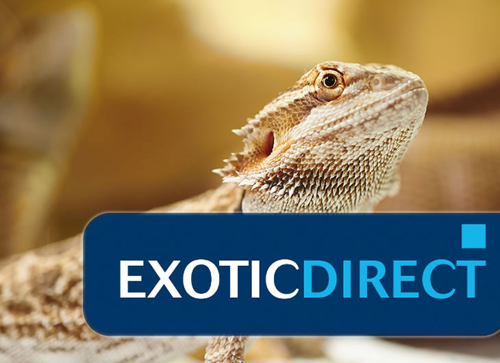 Reptile Insurance: Protect Your Pet UK - Reptile Centre β Northampton ...