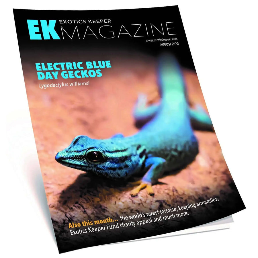 Buy Exotics Keeper Magazine #1 November 2020 (Q-IEK001) Online at £2.99 from Reptile Centre