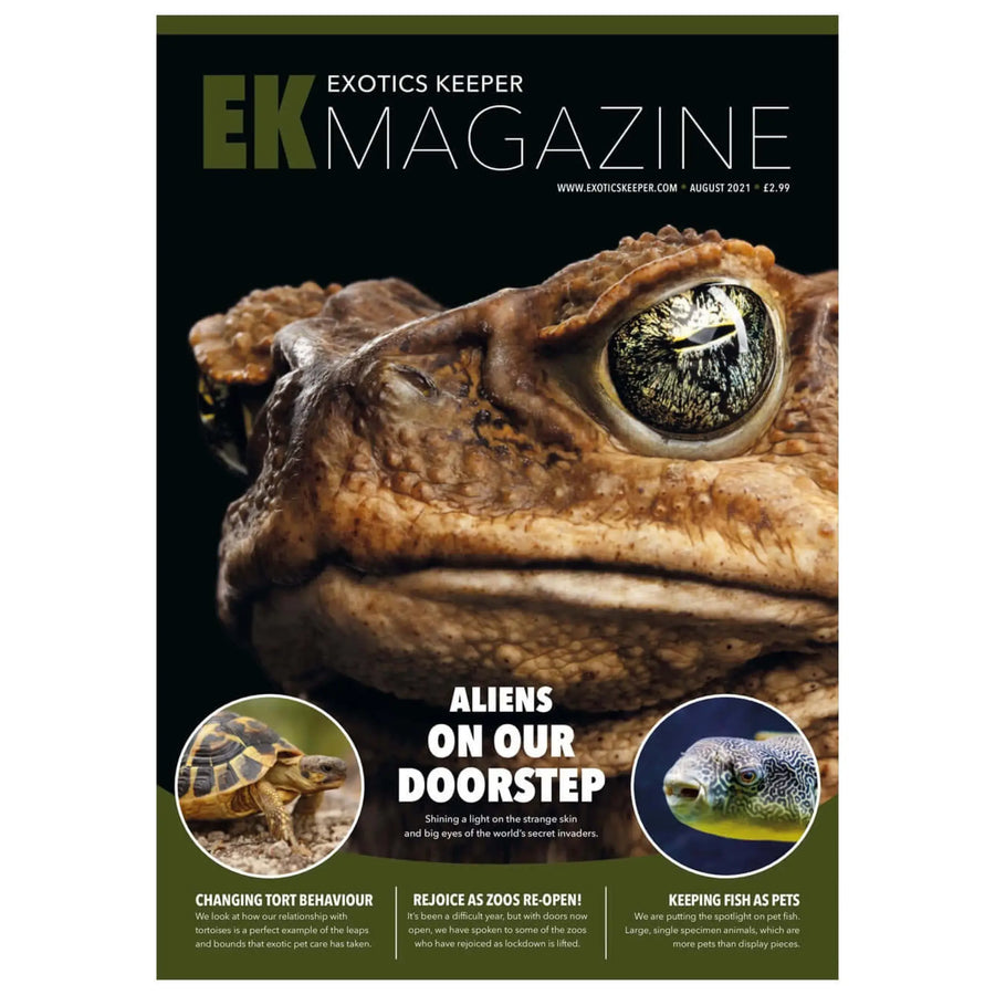 Buy Exotics Keeper Magazine #10 August 2021 (Q-IEK010) Online at £2.99 from Reptile Centre